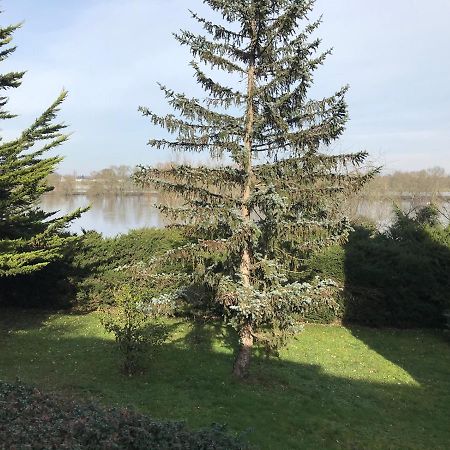 Une Nuit Sur Loire Treves-Cunault Exteriér fotografie