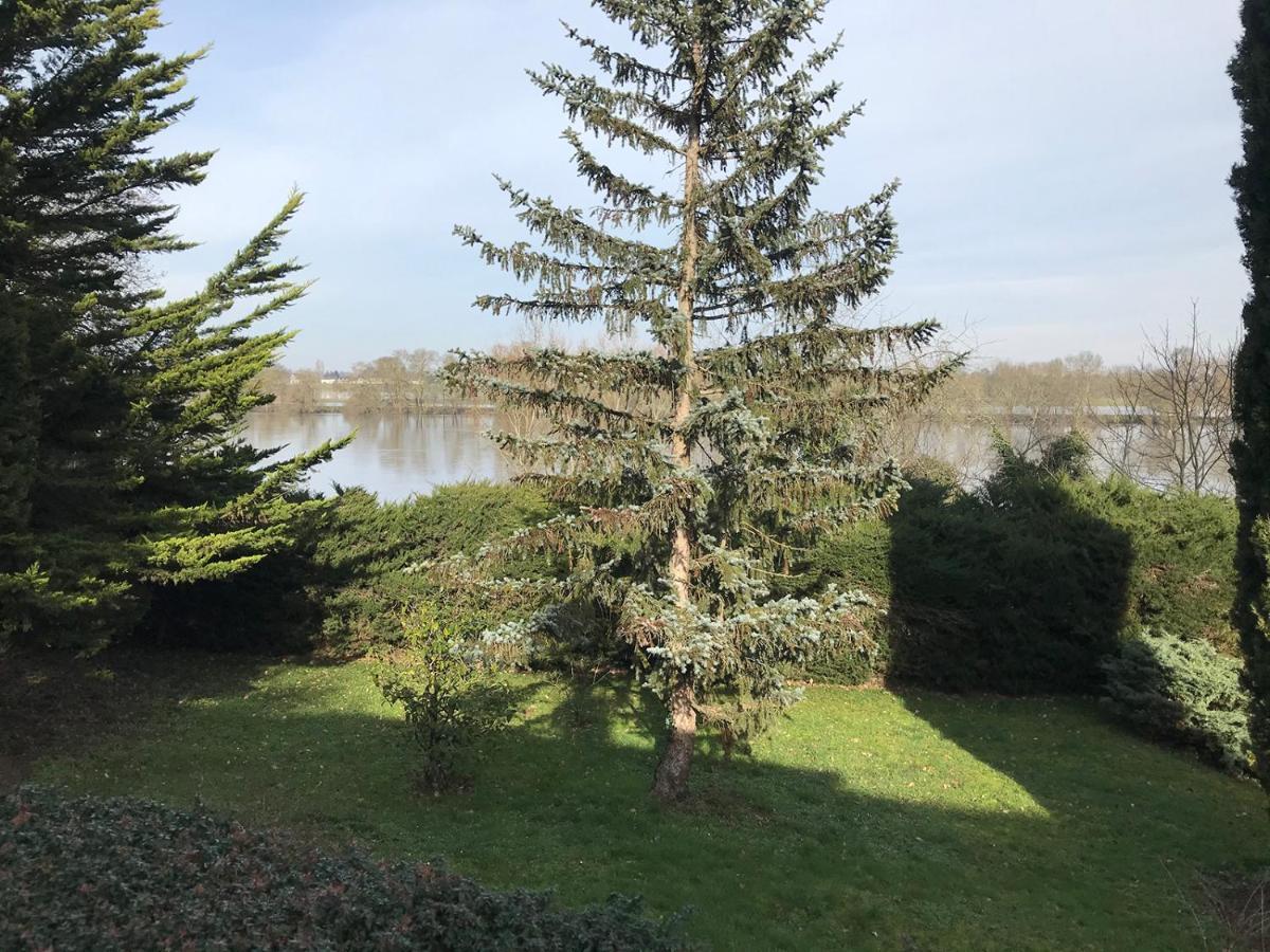 Une Nuit Sur Loire Treves-Cunault Exteriér fotografie