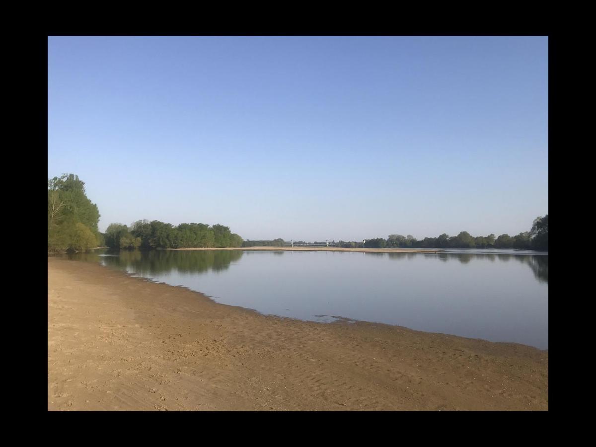 Une Nuit Sur Loire Treves-Cunault Exteriér fotografie